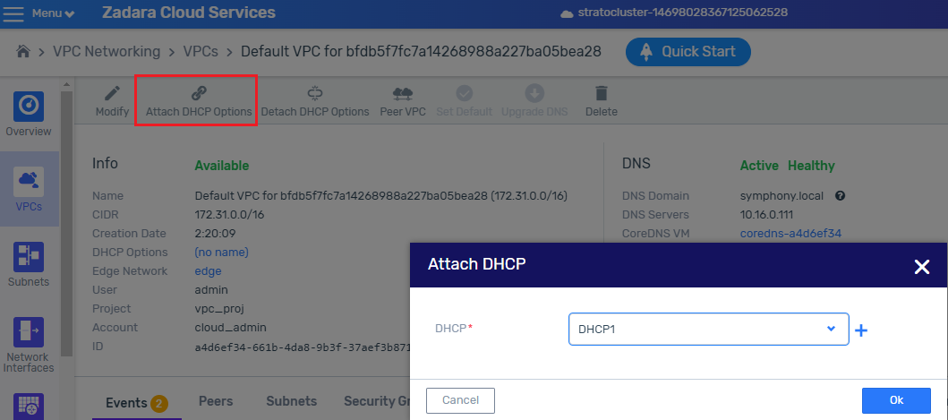 attach-dhcp-options